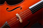 cello