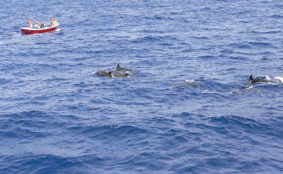 sea