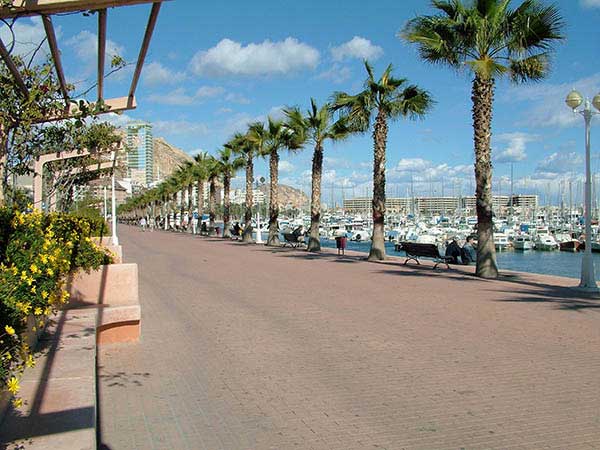 Alicante