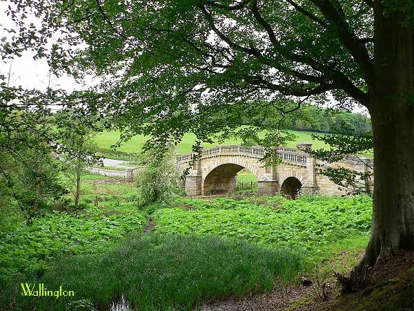 Wallington