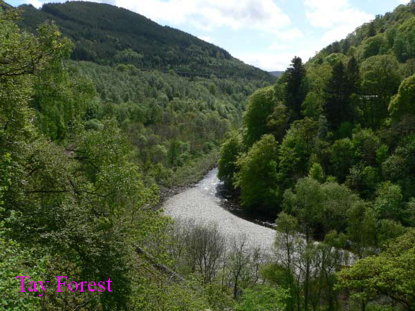 Killiecrankie