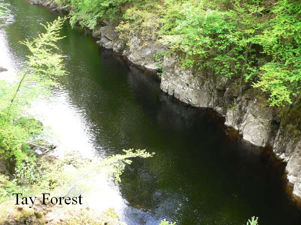 Killiecrankie