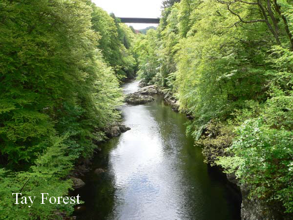 Killiecrankie