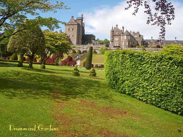 Drummond Gardens