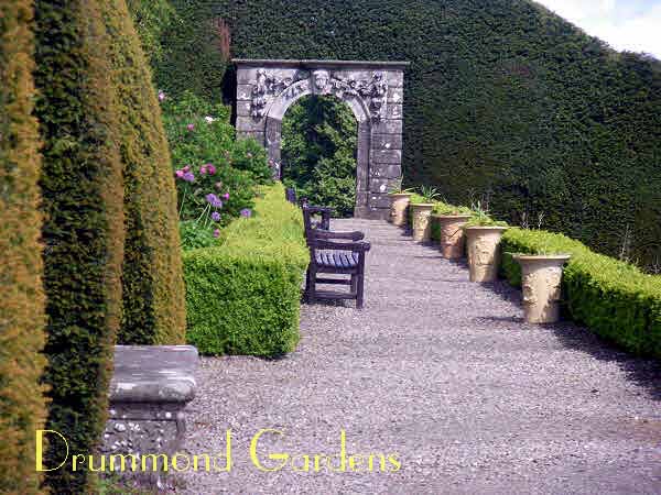Drummond Gardens