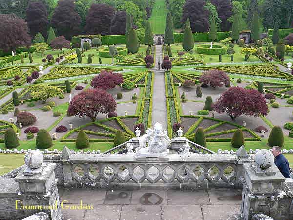 Drummond Gardens