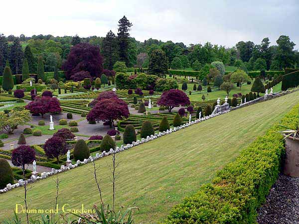 Drummond Gardens