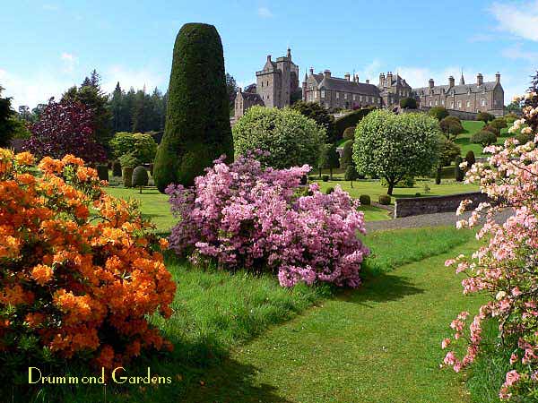 Drummond Gardens
