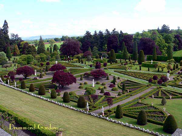 Drummond Gardens