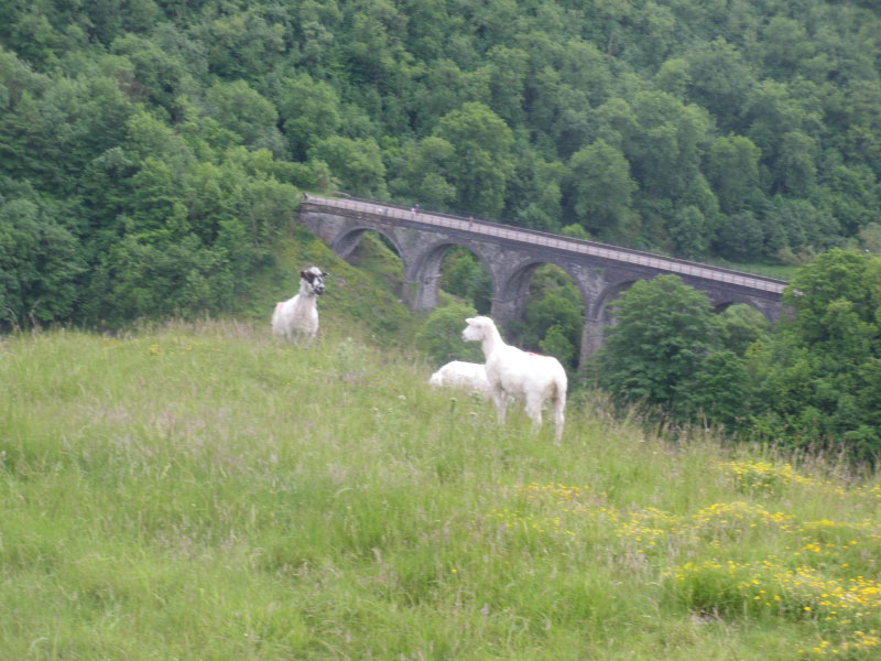 Monsall Trail