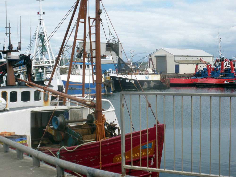 Troon