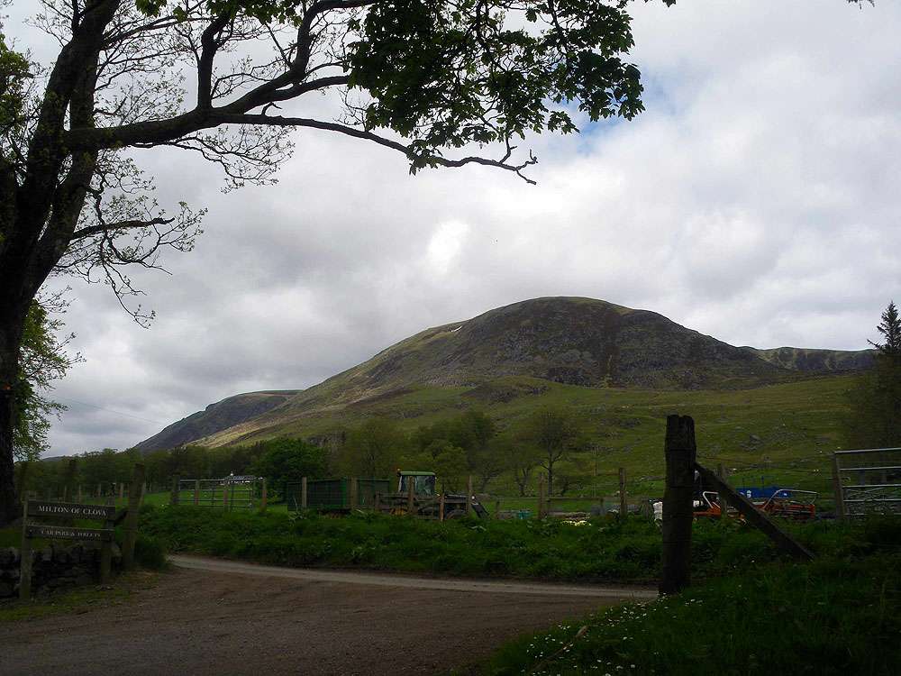 Glen Cova