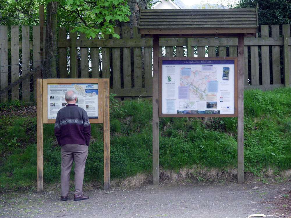 Glen Cova