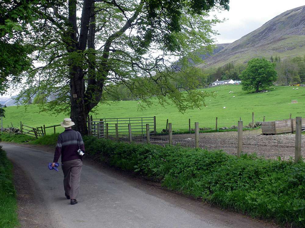 Glen Cova