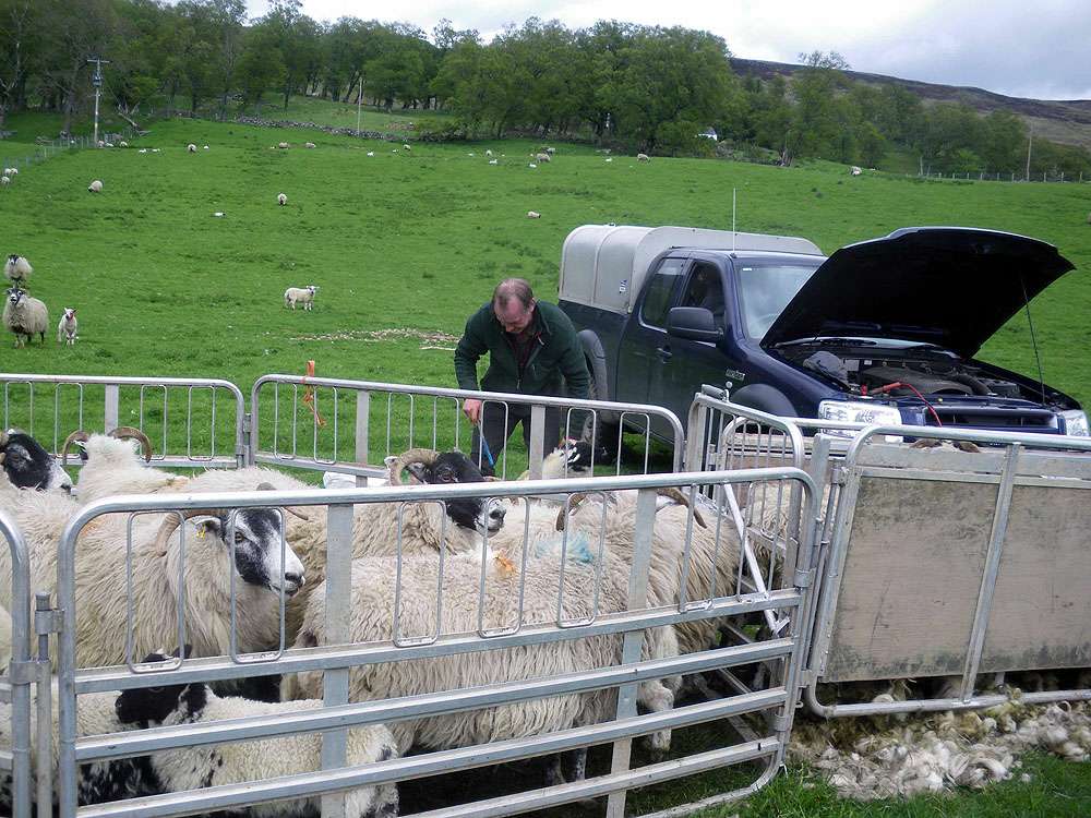Glen Cova