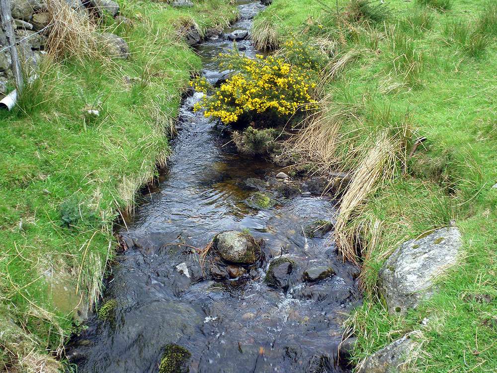 Glen Cova