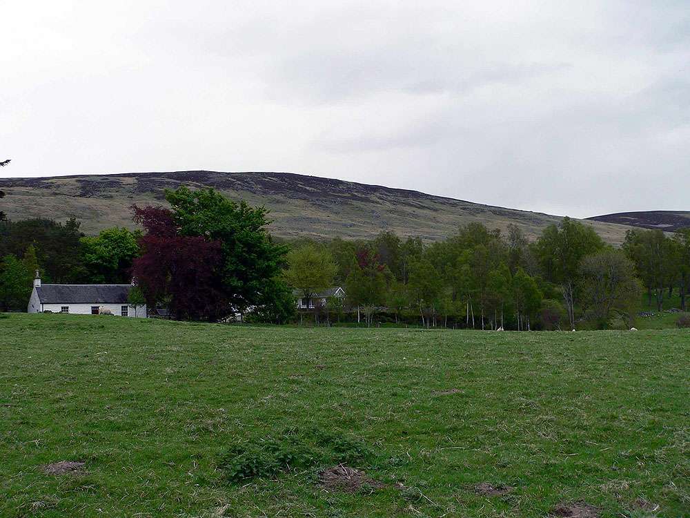 Glen Cova