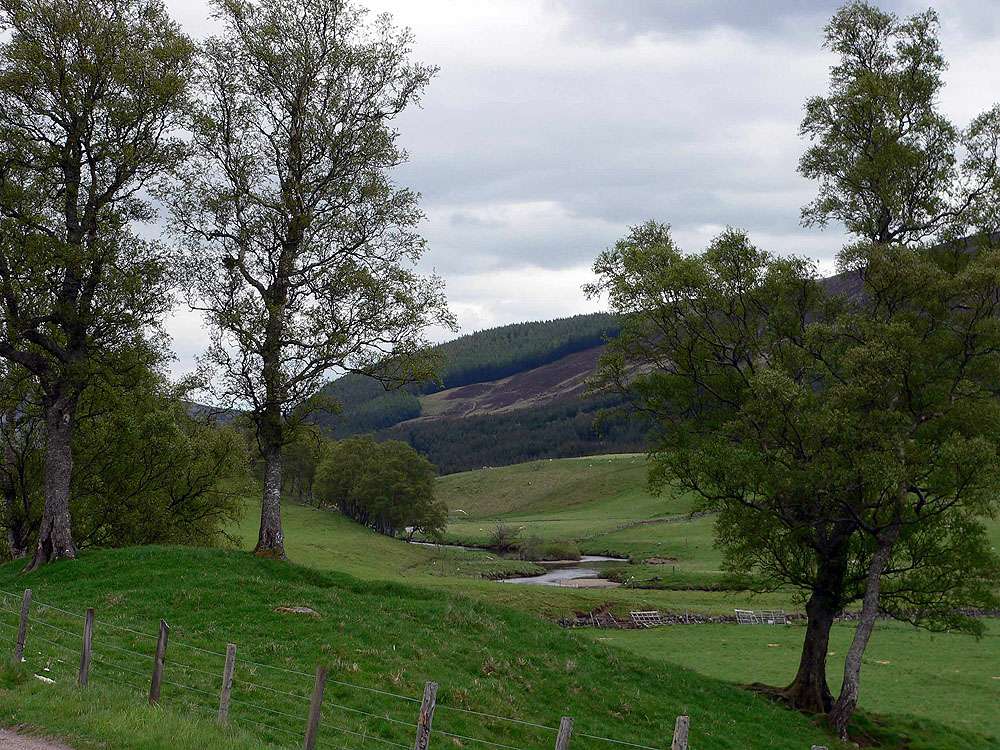 Glen Cova