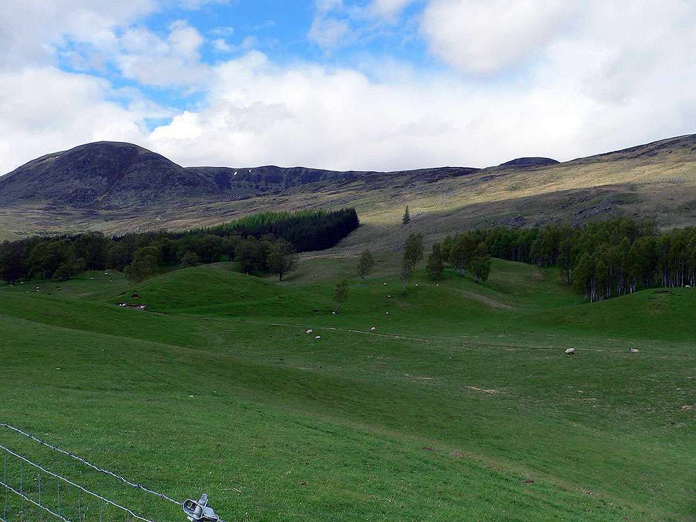 Glen Cova