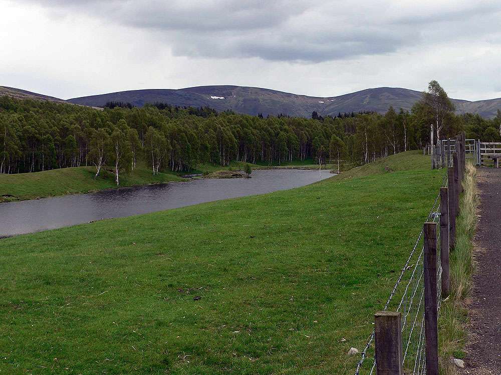 Glen Cova