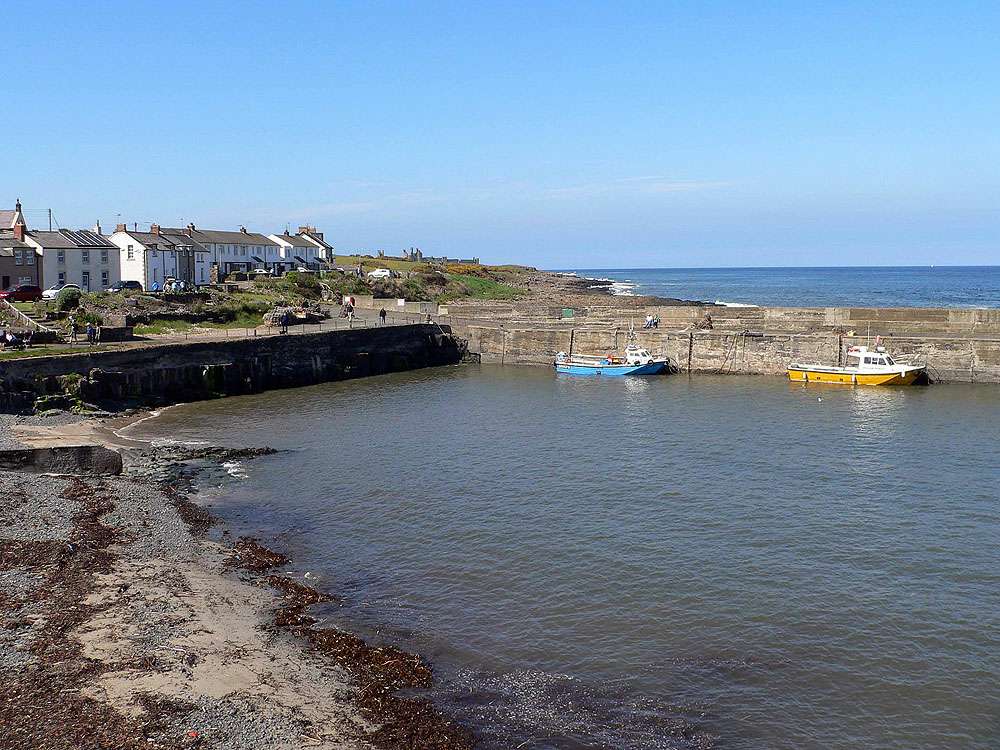 Craster
