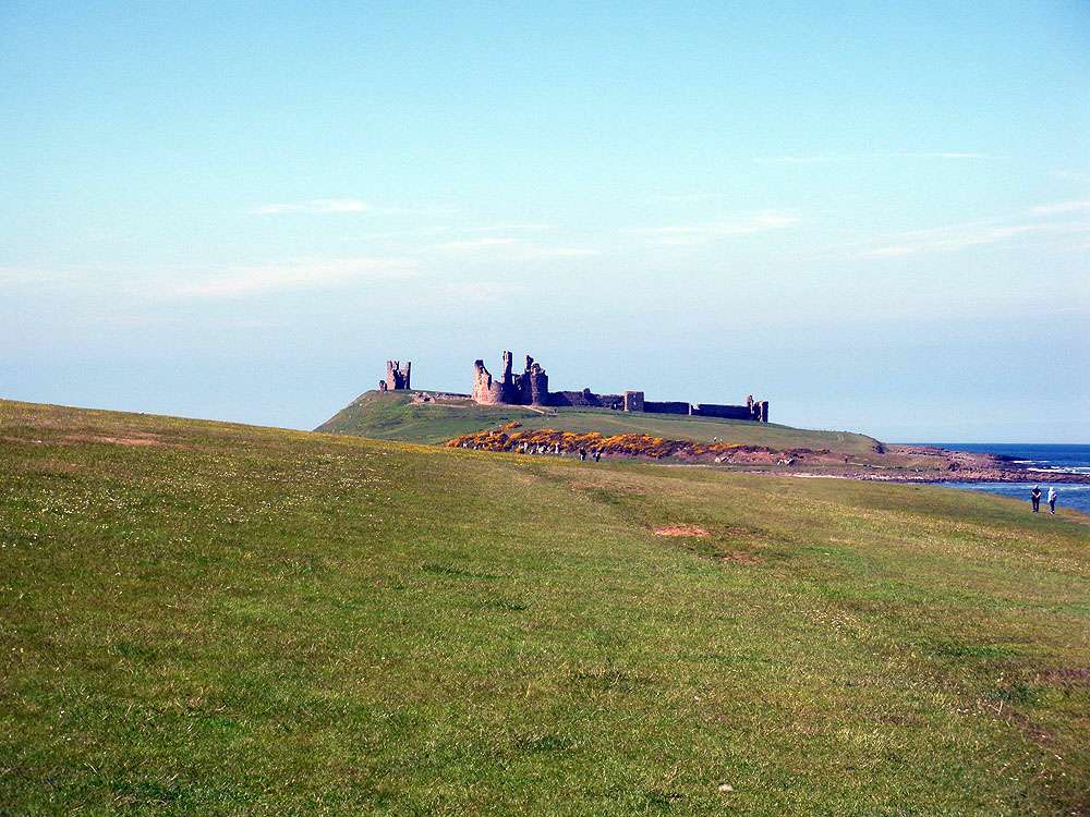 Craster