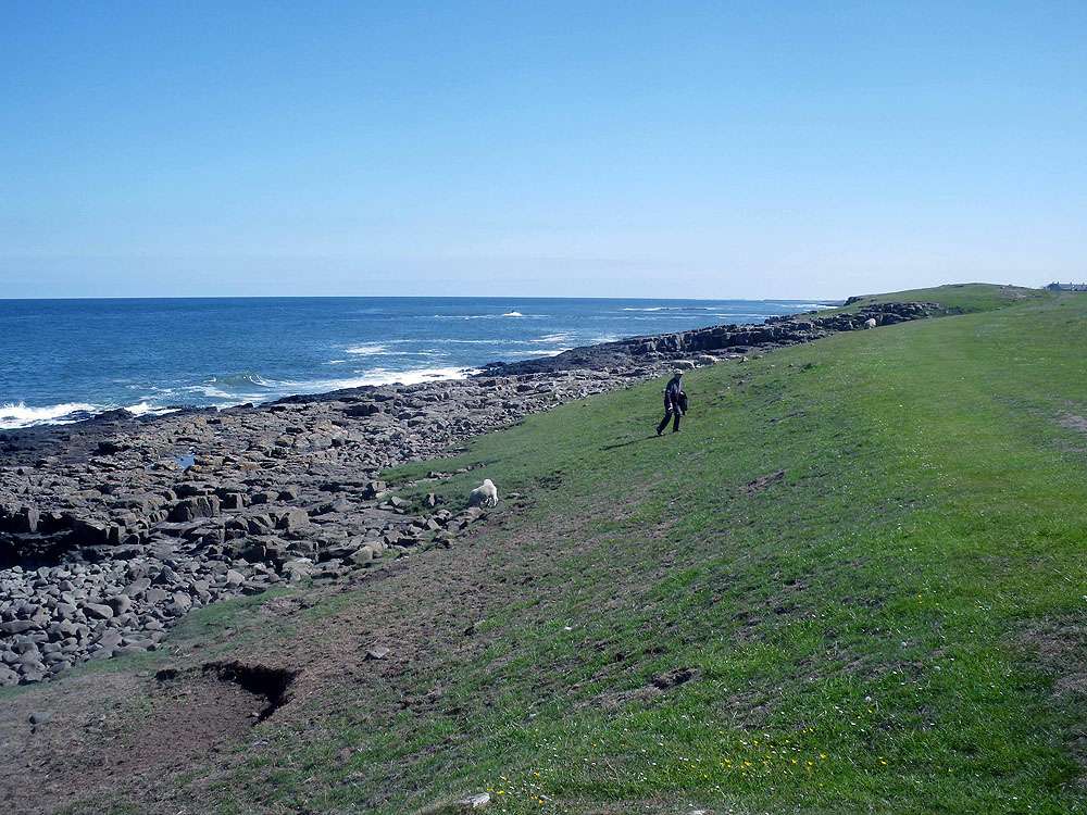 Craster