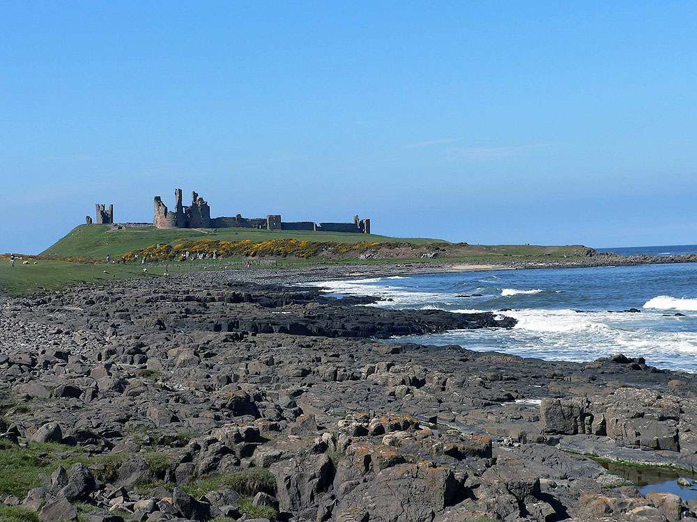 Craster