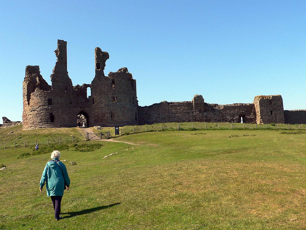 Craster