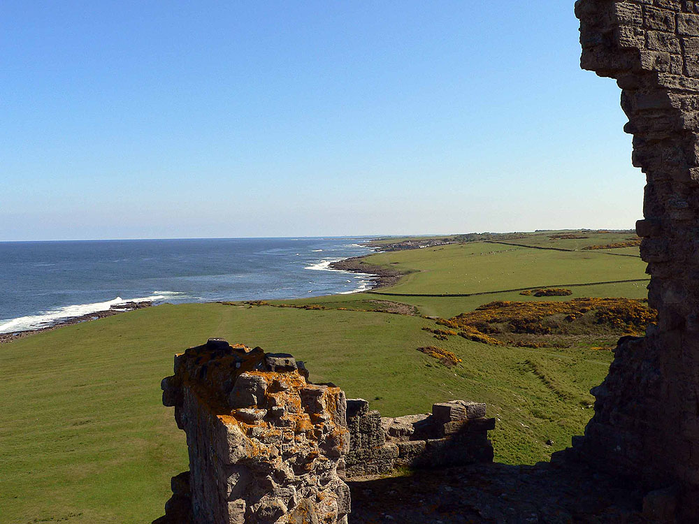 Craster