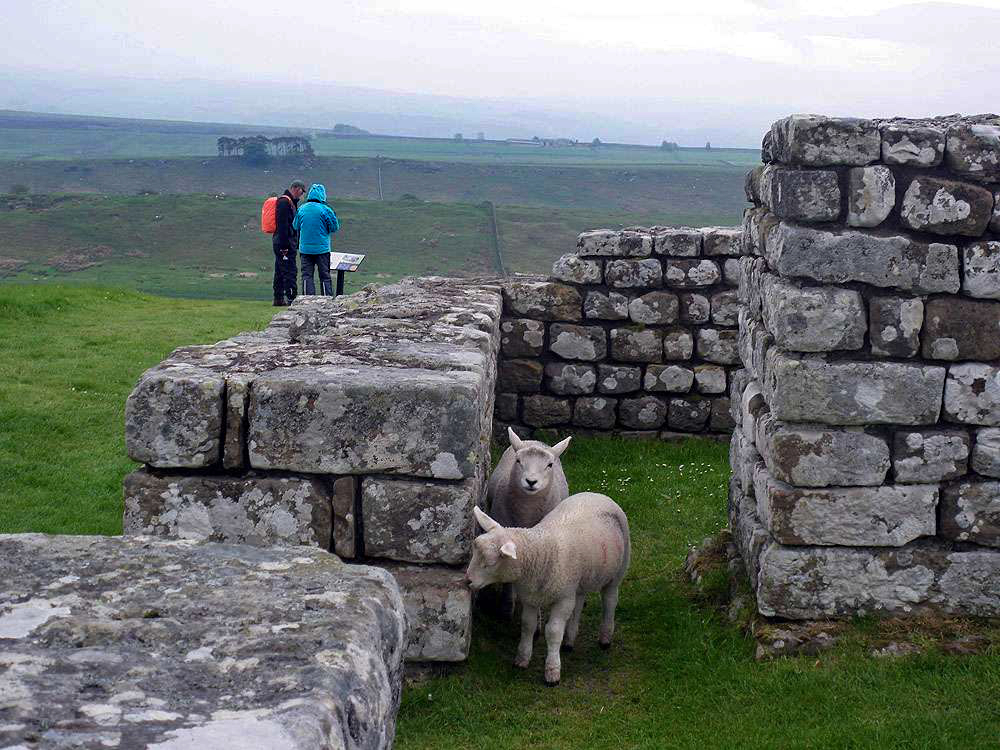 Housdteads Fort