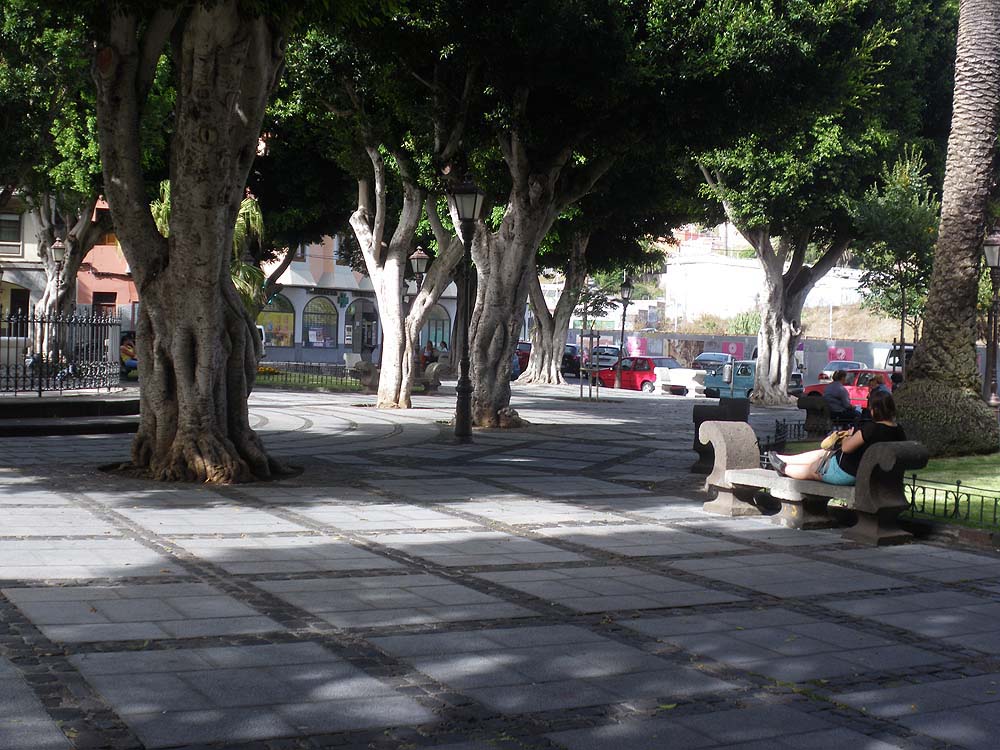la Laguna