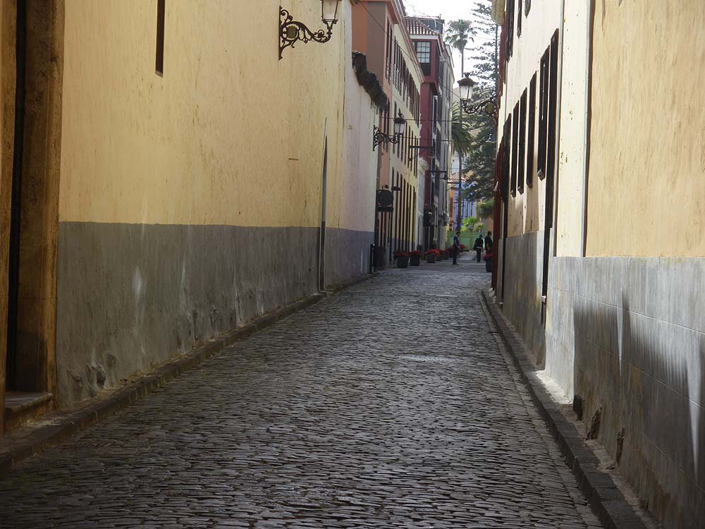 la Laguna