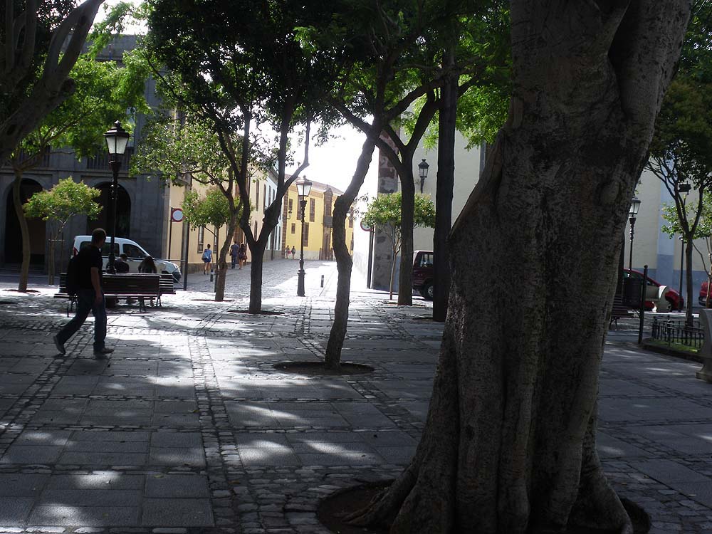 la Laguna