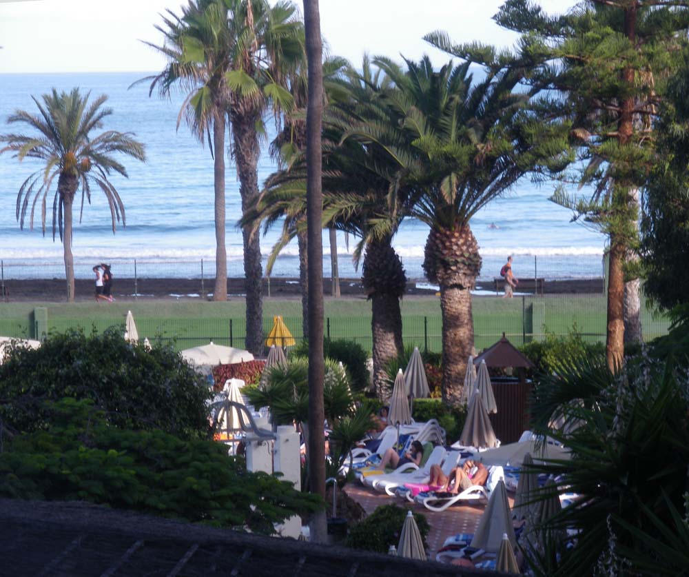 las Palmeras