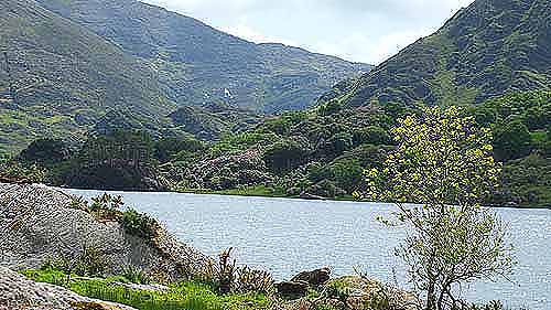 Killarney