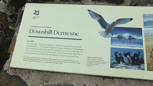Downhill