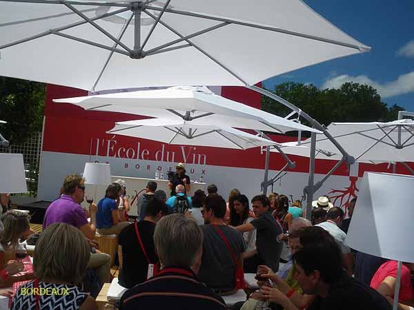 wine festival