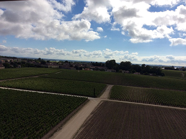 Medoc6