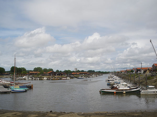 Oyster farm