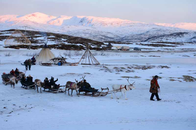 Sami with reindeer 7