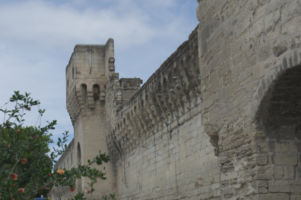 Avignon