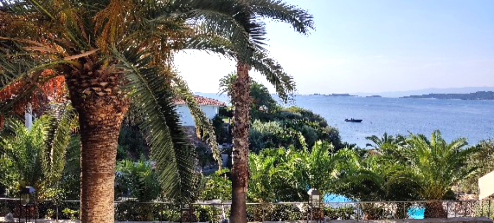 from hotel garden
