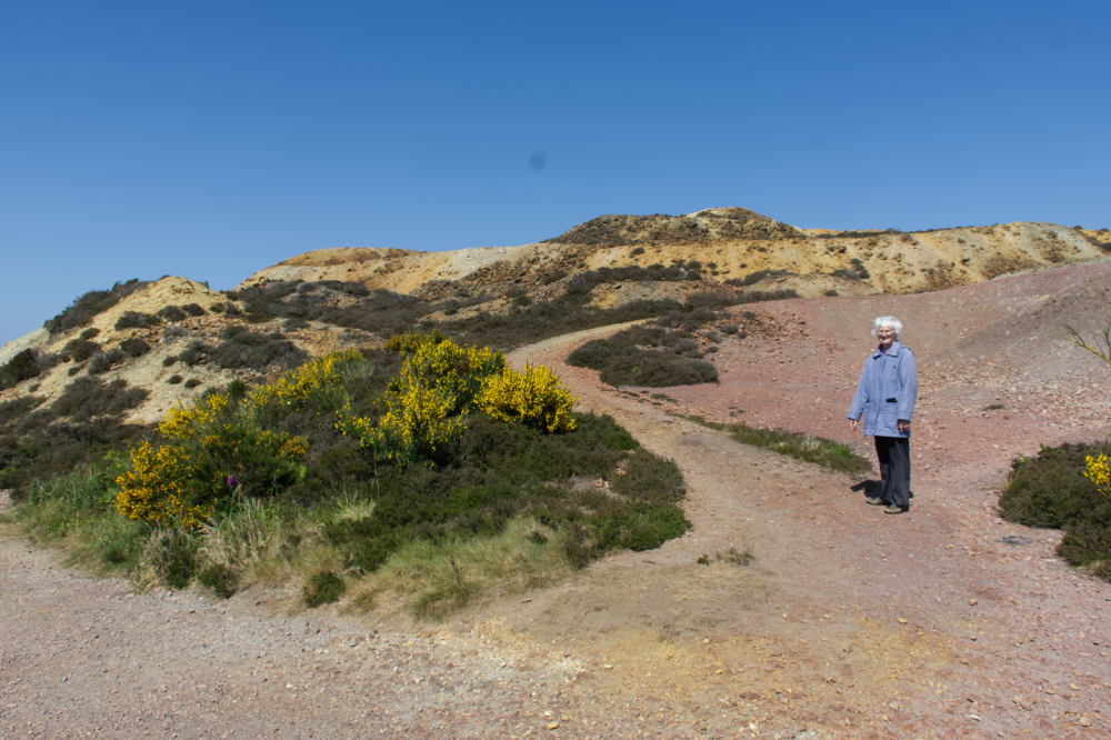 Parys Mountain