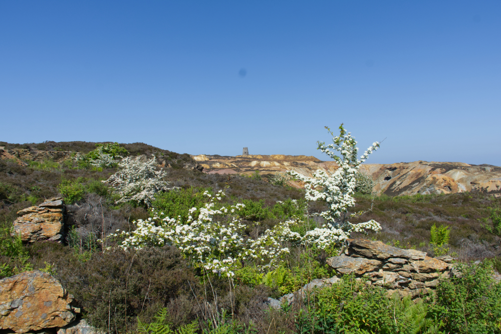 Parys Mountain