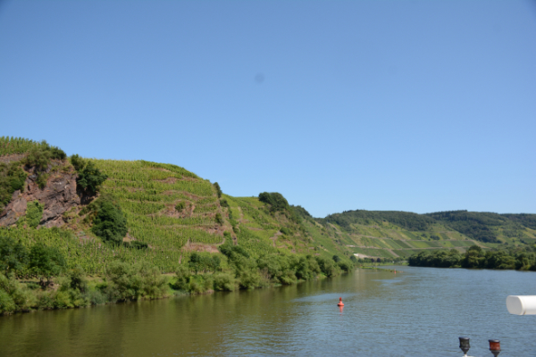 Moselle valley