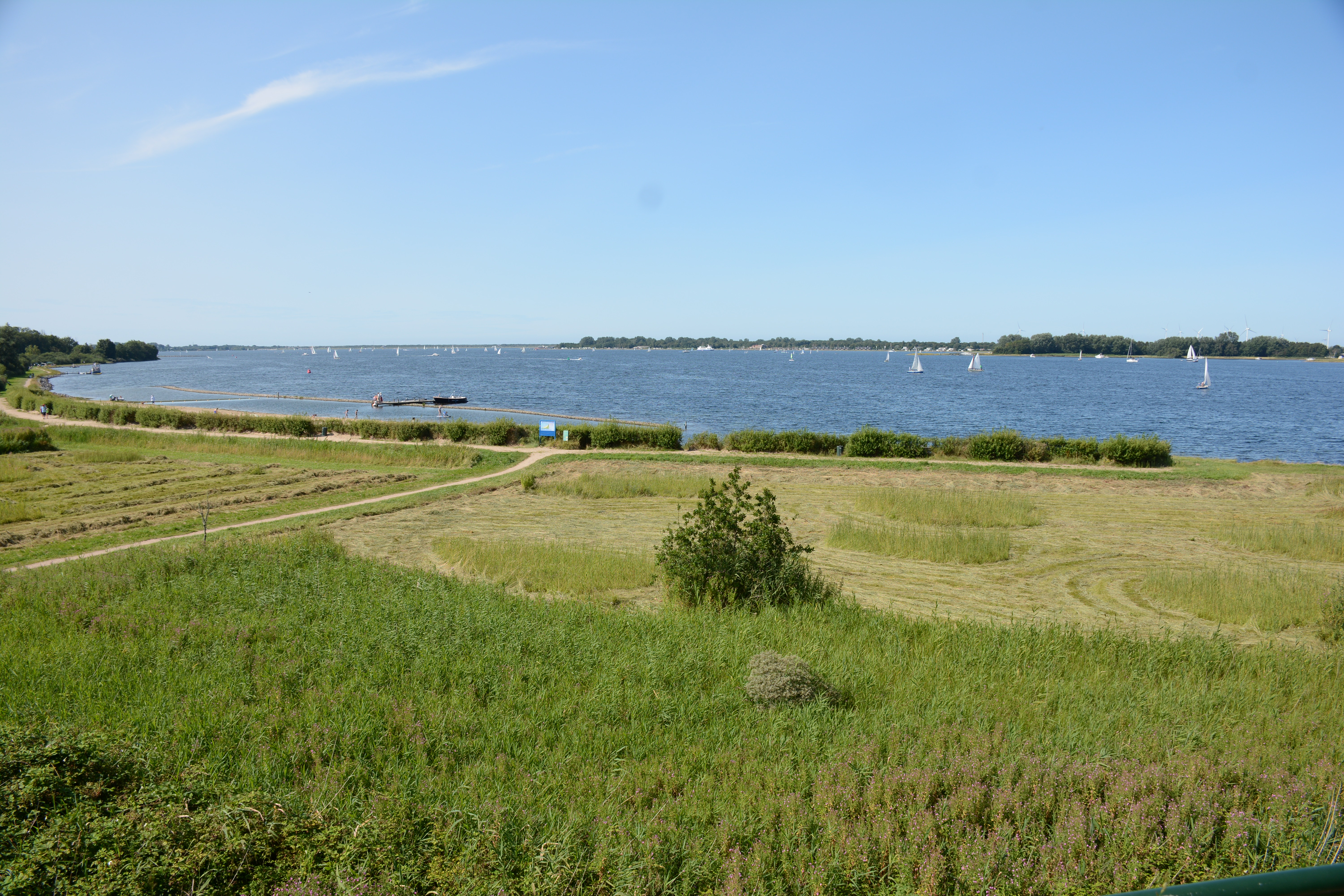 Veere